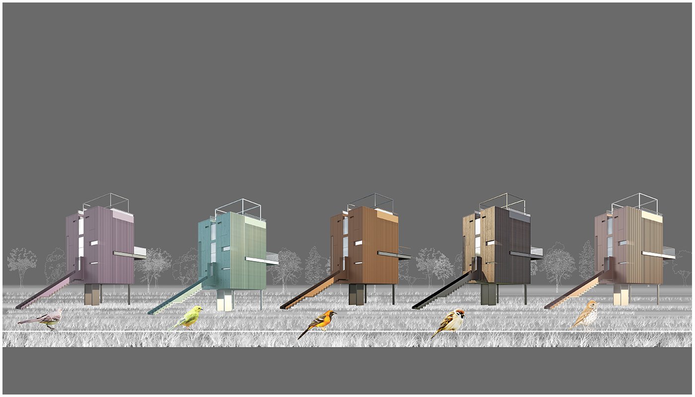 The Nest, image 2