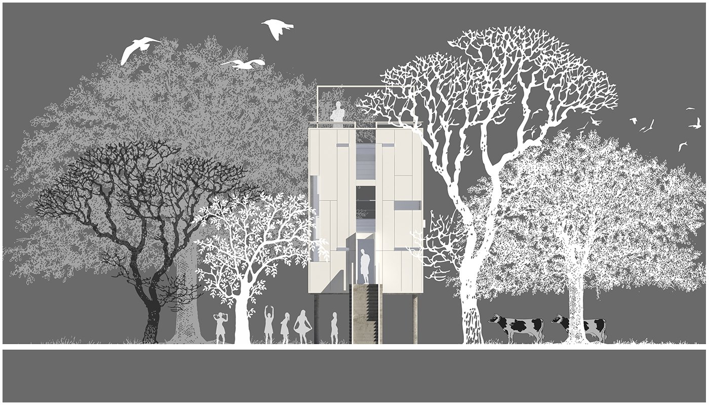 The Nest, image 4