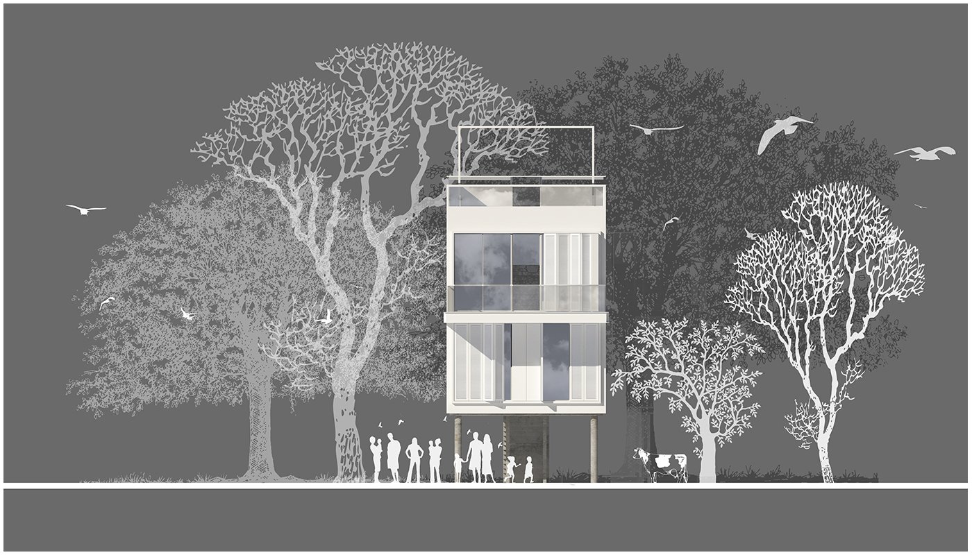 The Nest, image 5