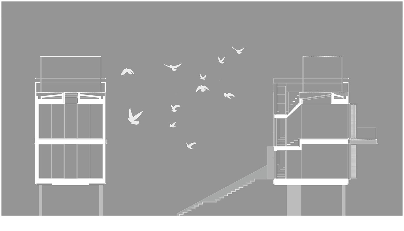 The Nest, image 8